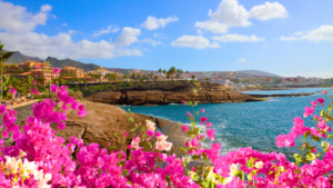 tenerife-spain-iberostar-hotels-comparison