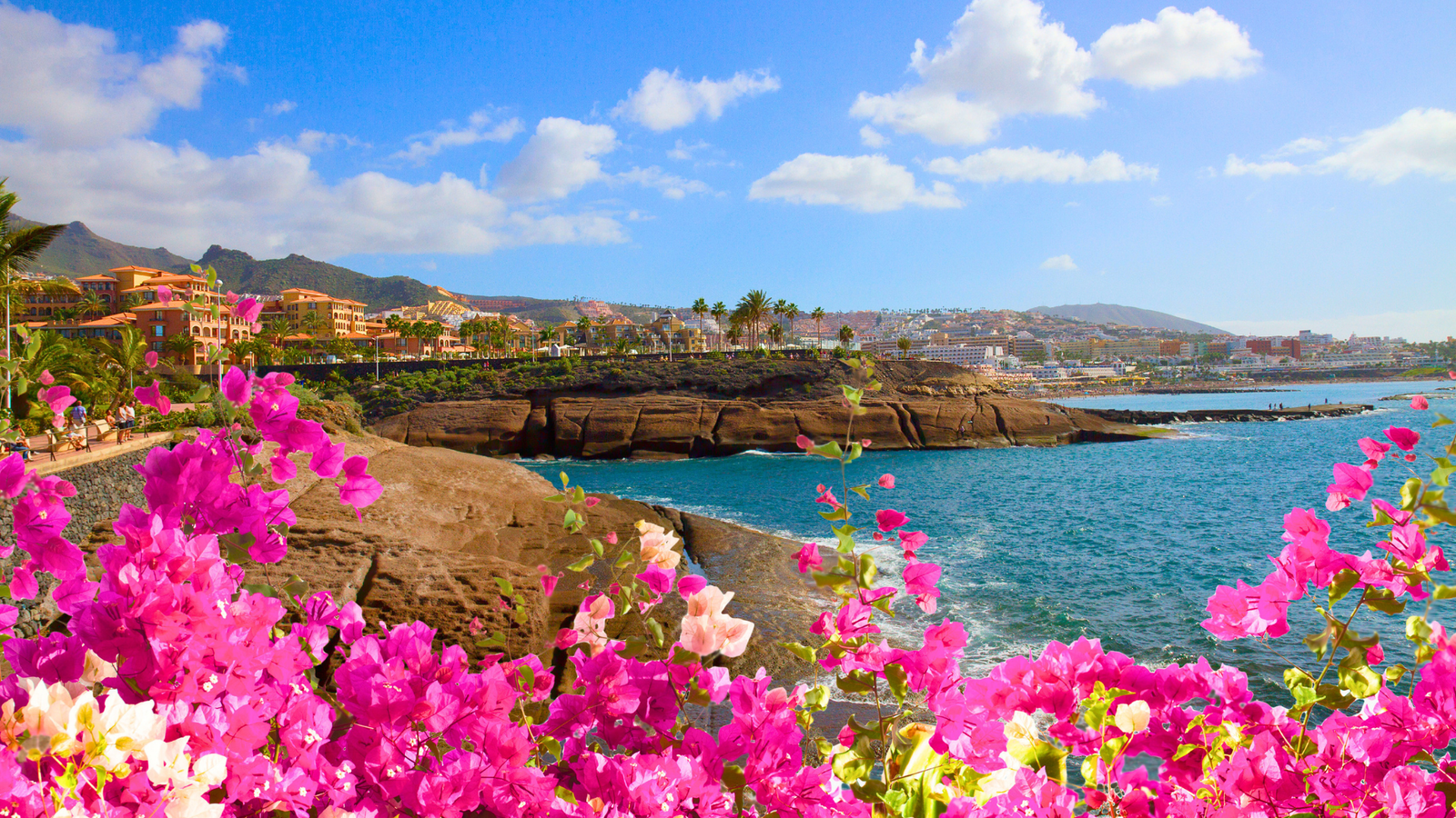 tenerife-spain-iberostar-hotels-comparison
